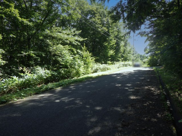 羽鳥湖平和郷別荘地⑪の前面道路含む現地写真
