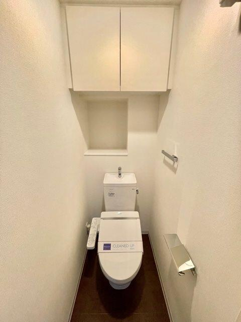 レジディア三軒茶屋Ⅲのトイレ|落ち着いた色調のトイレです