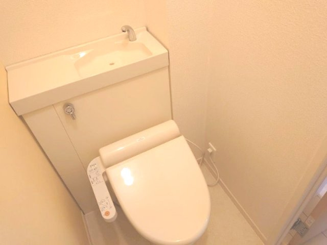 ネフ のトイレ