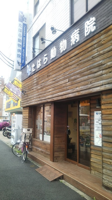 コージーコートのその他|たはら動物病院