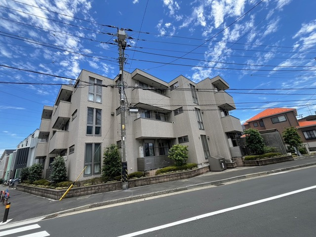 コージーコートの周辺