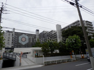 ダイヤパレス猿江恩賜公園の画像
