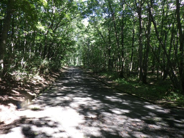 羽鳥湖平和郷別荘地⑫の前面道路含む現地写真