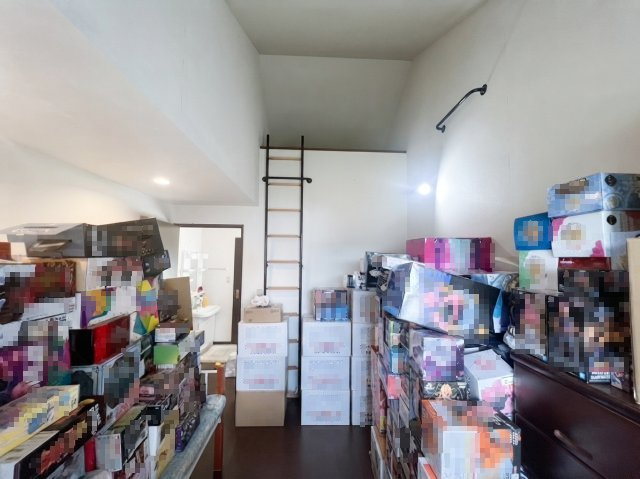 佐野市牧町｜積水ハウス施工の注文住宅　ゆとりある6LDK・自然を望む住環境の洋室|2Fロフト付きです