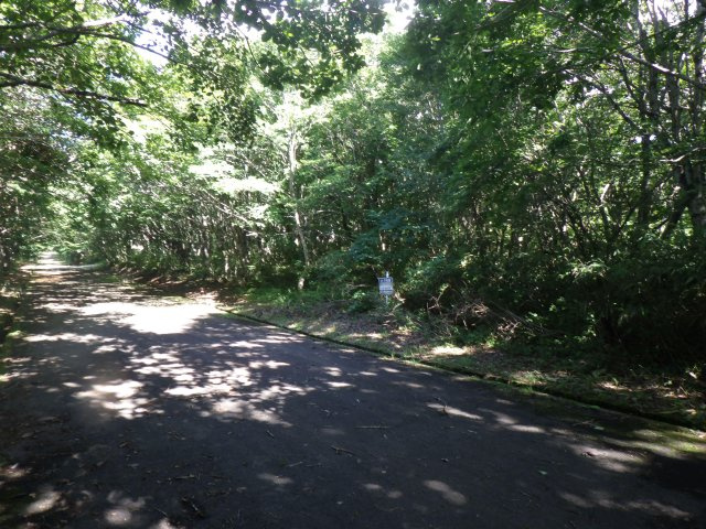 羽鳥湖平和郷別荘地⑬の前面道路含む現地写真