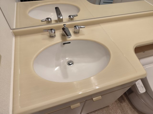 パレルモコートの独立洗面台