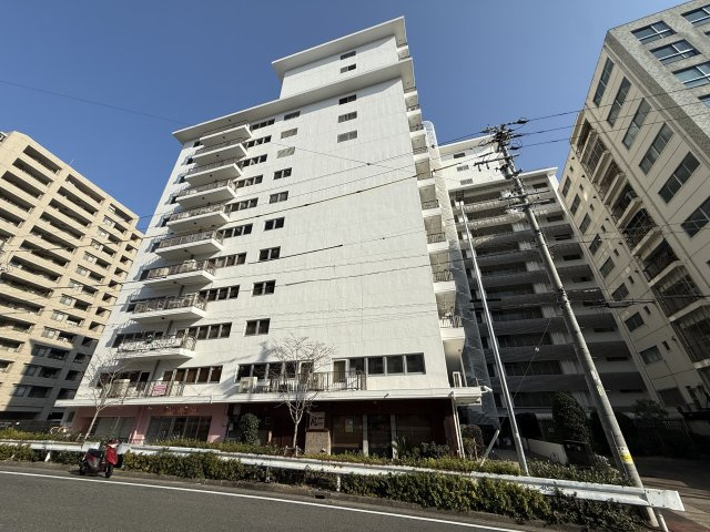 駅まで徒歩5分&3LDK高層階8階住戸！ファミール富士見