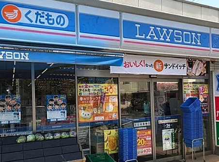 DIPS小竹向原の周辺