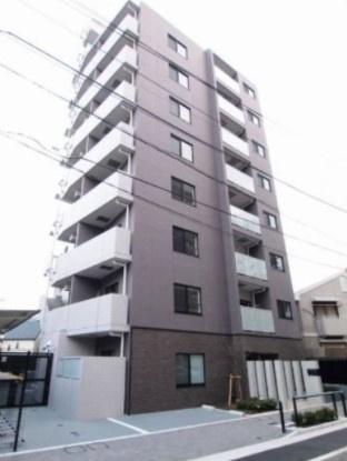 DIPS小竹向原