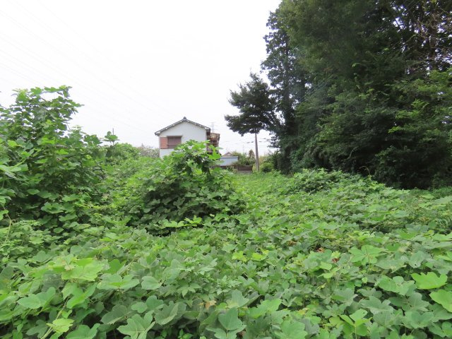 坂戸市塚越売地の外観