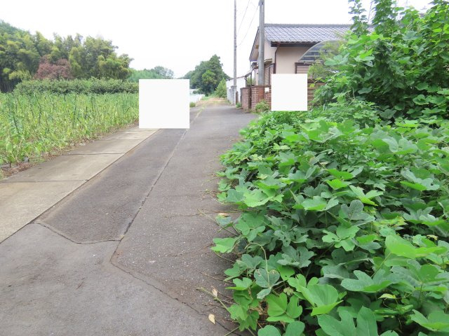 坂戸市塚越売地の前面道路含む現地写真