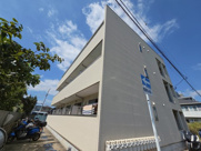 Elua Anelaの画像