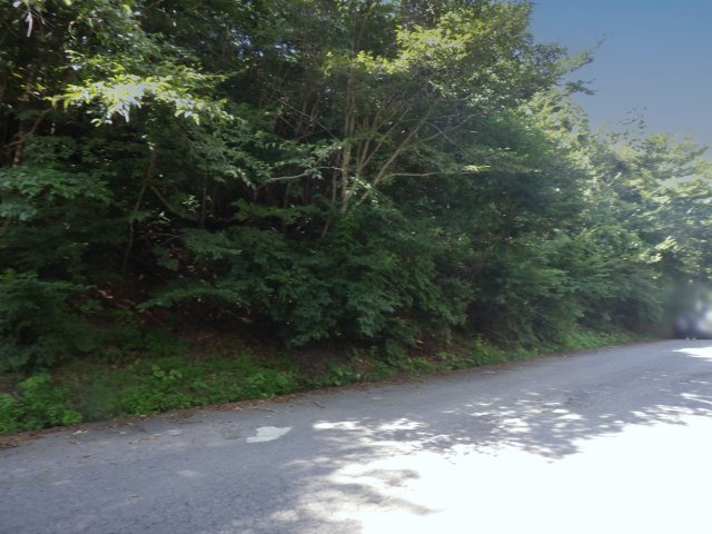 羽鳥湖平和郷別荘地⑮の前面道路含む現地写真