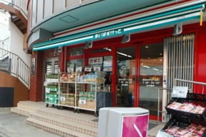ピアコートTM東武練馬　参番館の周辺