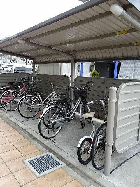 プラシードＣＯＣＯのその他