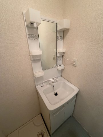 ロワールハイツIIの洗面所