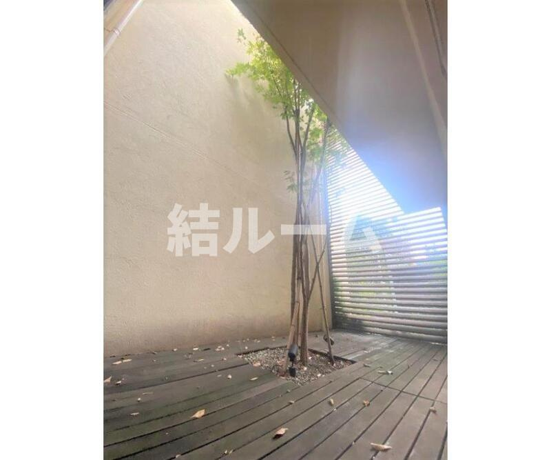 練馬区練馬１丁目の賃貸マンションの庭