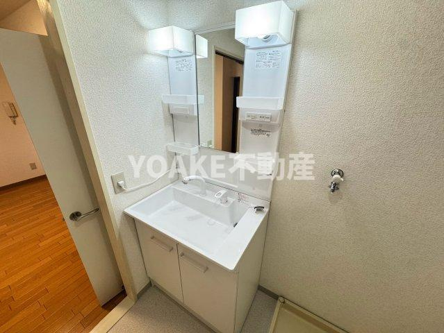 大和市鶴間１丁目の賃貸マンションの洗面所