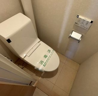 越中島三丁目ハイツ1号棟のトイレ|トイレも気になるポイント