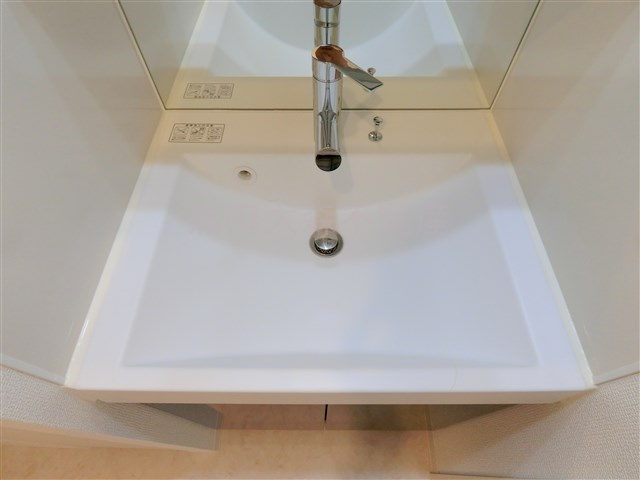 アジールコート大森西の洗面所