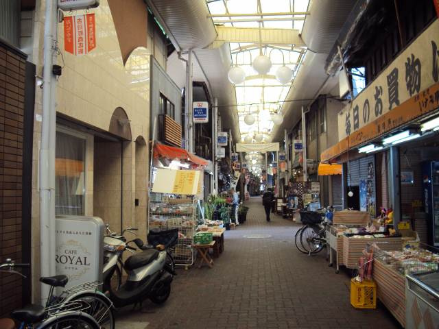 リバーパレス白川の周辺|前面道路