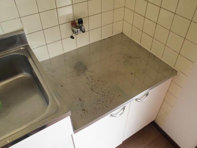 名古屋市昭和区福江１丁目の賃貸マンションのキッチン