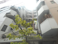 柏木ＭＵＲＡの画像
