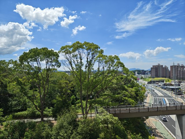 サンパーク青山（C-27）の展望