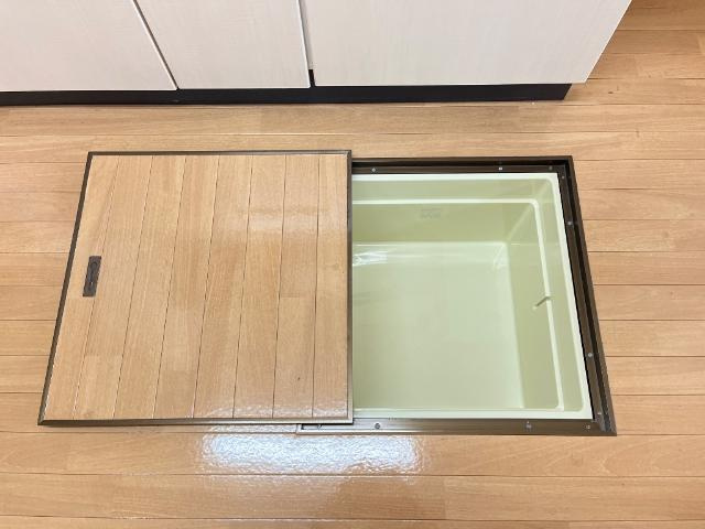 ブエナビスタの収納|床下収納