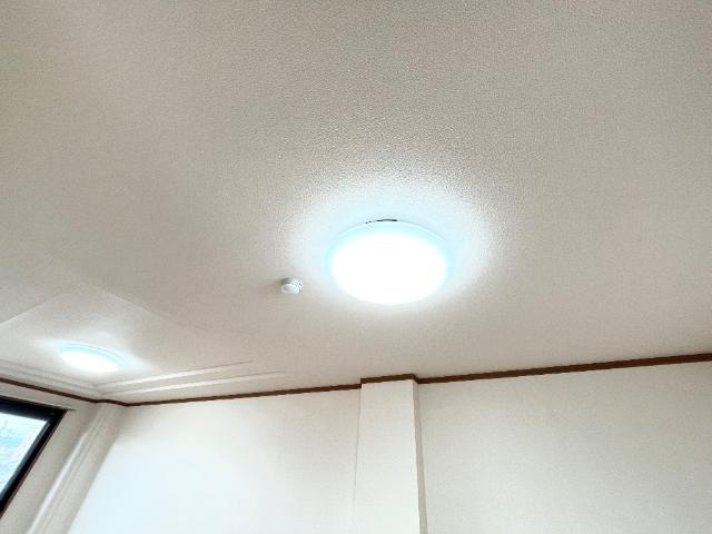 ロイヤルコーポ中川の設備|照明器具