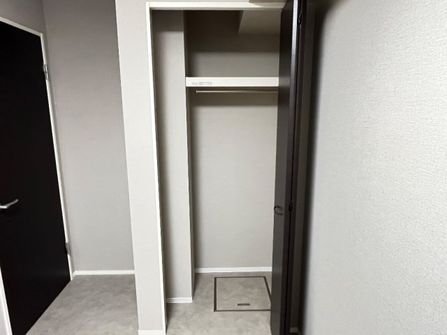 フェイジョアの収納
