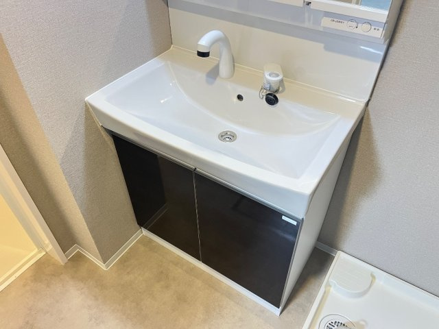 フェイジョアＤの洗面所