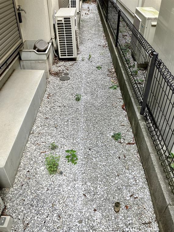 荻窪戸建の庭|簡単な家庭菜園も楽しめるお庭です
