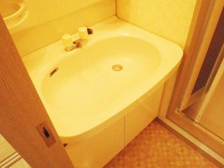 セイコーガーデンＸＩ大塚の洗面所