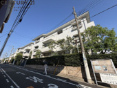 Cross Season 甲子園の画像