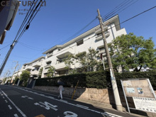 Cross Season 甲子園の画像