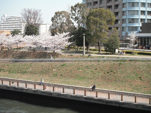 センチュリーパークタワーの周辺