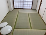 【その他】 | カターラオーシマ