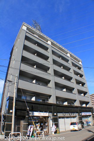 ゴールドクレストの外観