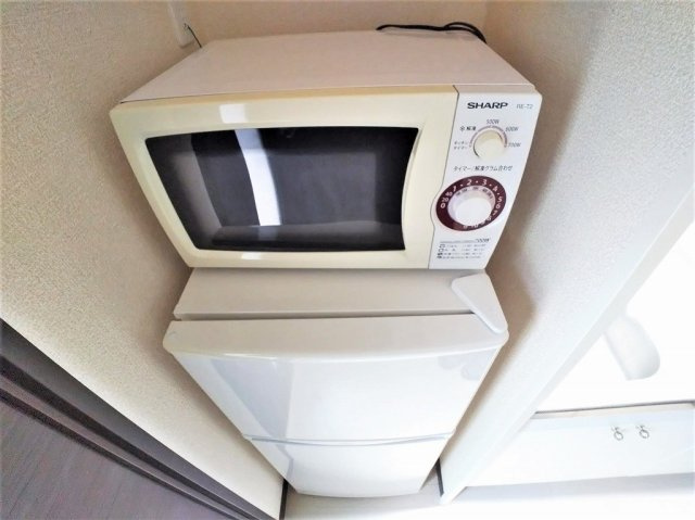 レオネクストシャイン浦和のその他|電子レンジと冷蔵庫