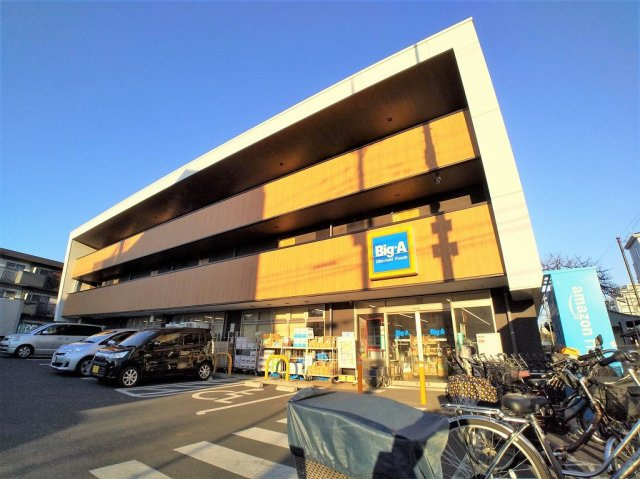 レオネクストシャイン浦和の周辺