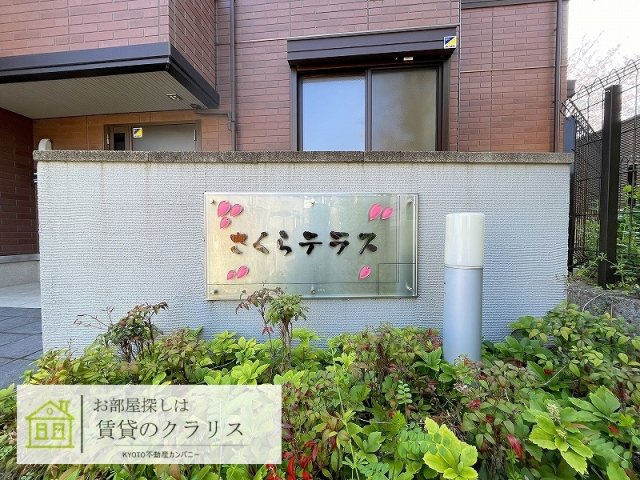 さくらテラス