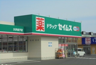 【周辺】 | サンビレッジⅡ | セイムス大井金子店まで500m