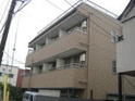 グリーンシャドーの画像