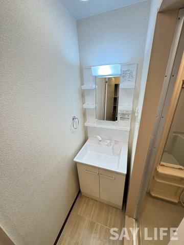 サンエスパシオ美園の洗面所