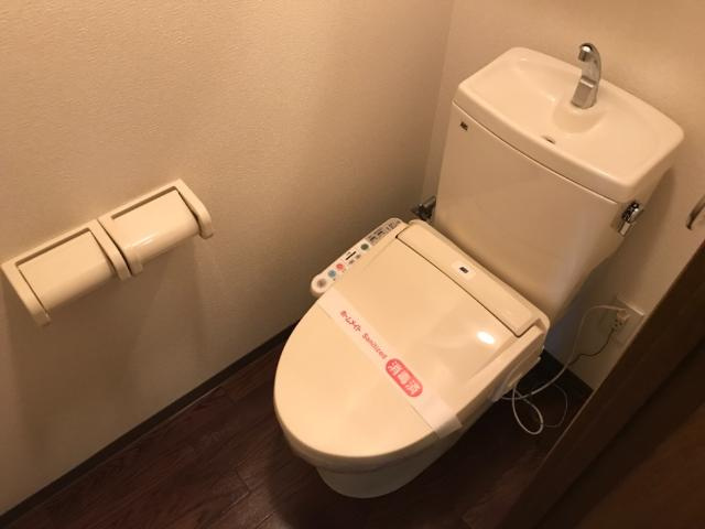プチメゾン辰のトイレ|シャワー付トイレ