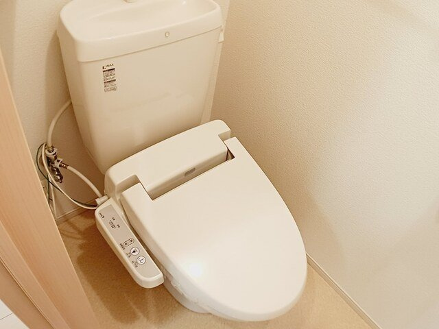 ＡＩＲＹ　ＣＯＵＲＴのトイレ