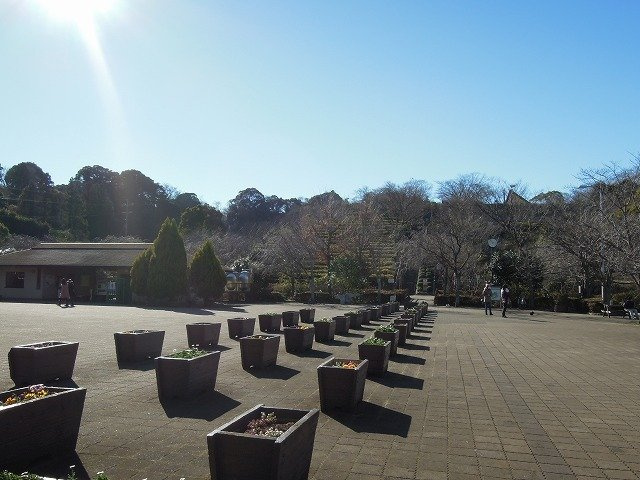 クザリアーナの周辺|清水船越堤公園まで1110m
