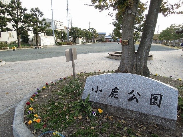 セイバリーヒルズの周辺|小鹿公園まで750m