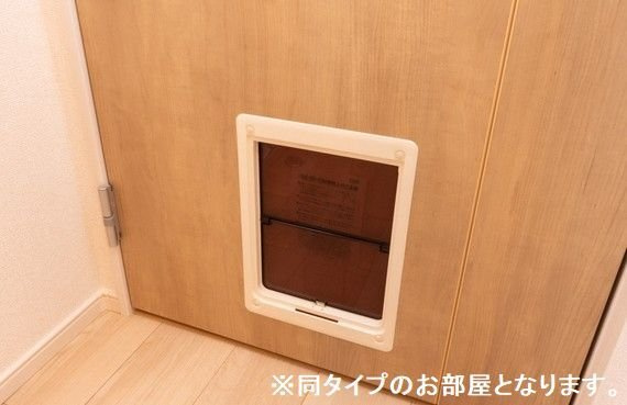 マーレのその他